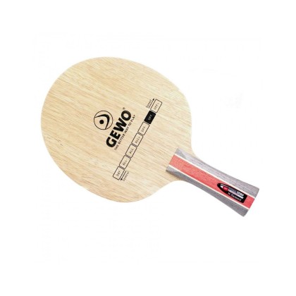 GEWO Hybrid Carbon X/Speed